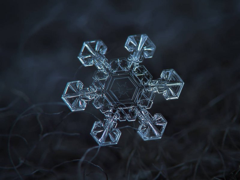 Кристаллы снежинок под микроскопом