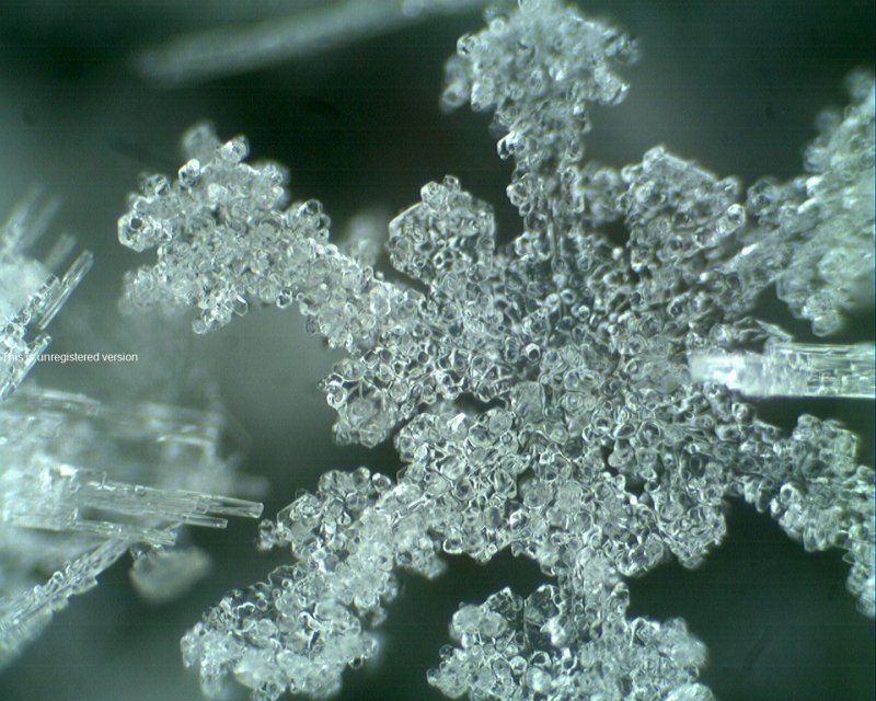 Снежинка под электронным микроскопом