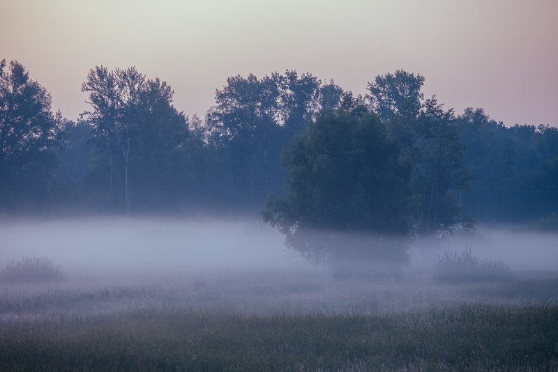 Утренний туман на озере