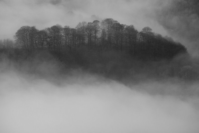 Туман фото