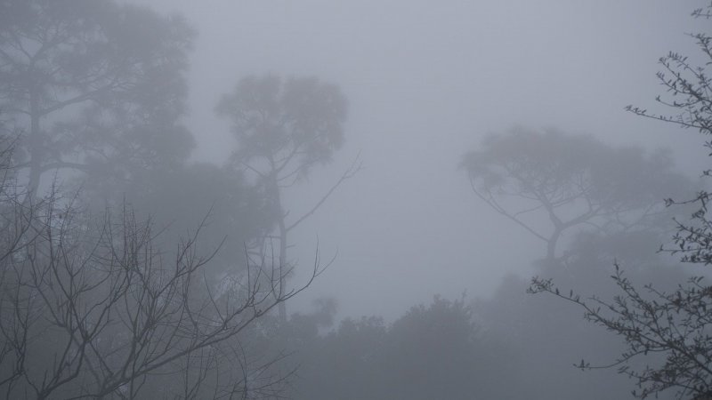 Серый туман