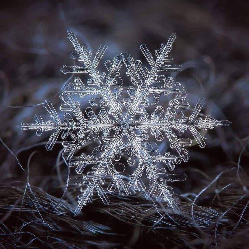 Макрофотографии снежинок Алексея Клятова