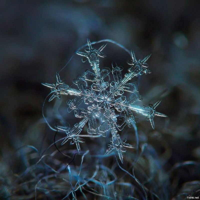 Снежинка под микроскопом настоящая