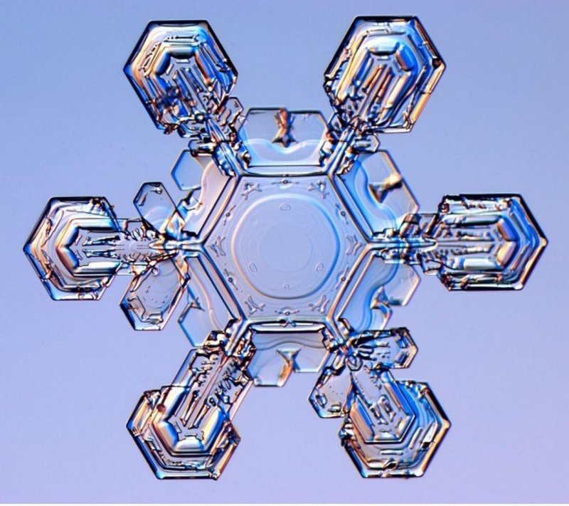 Кристаллы льда под микроскопом