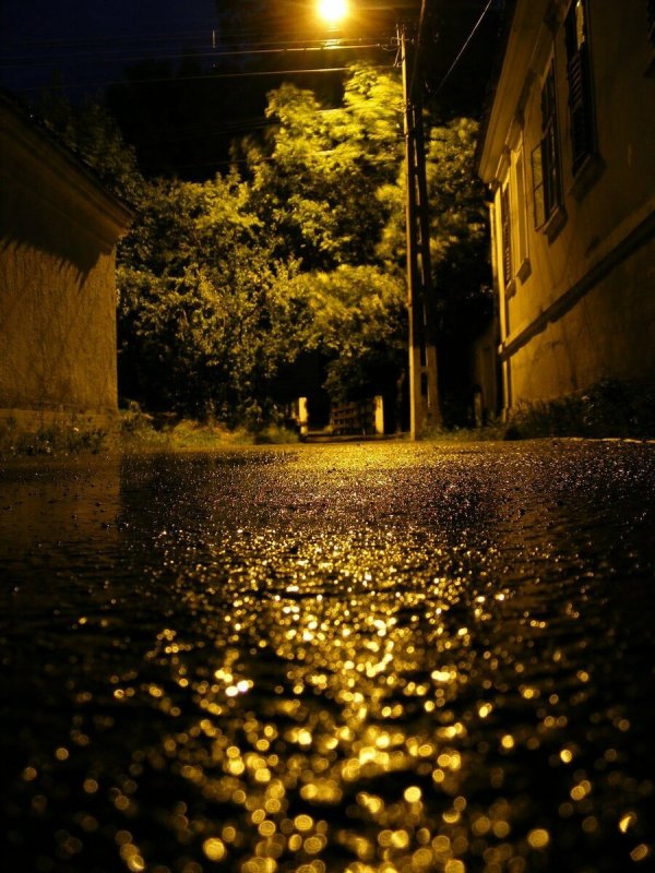 Дождливая улица