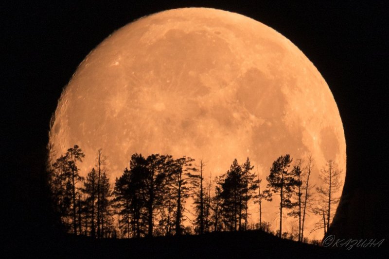 Луна Алтай