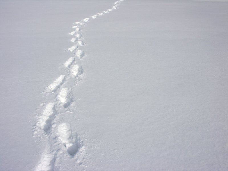 Следы от шагов на снегу