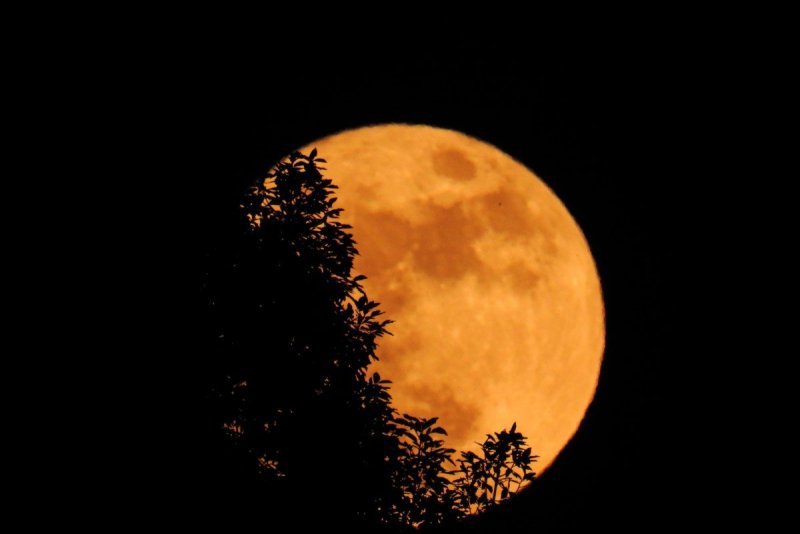 Большая оранжевая Луна