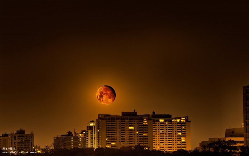 Красная Луна фото
