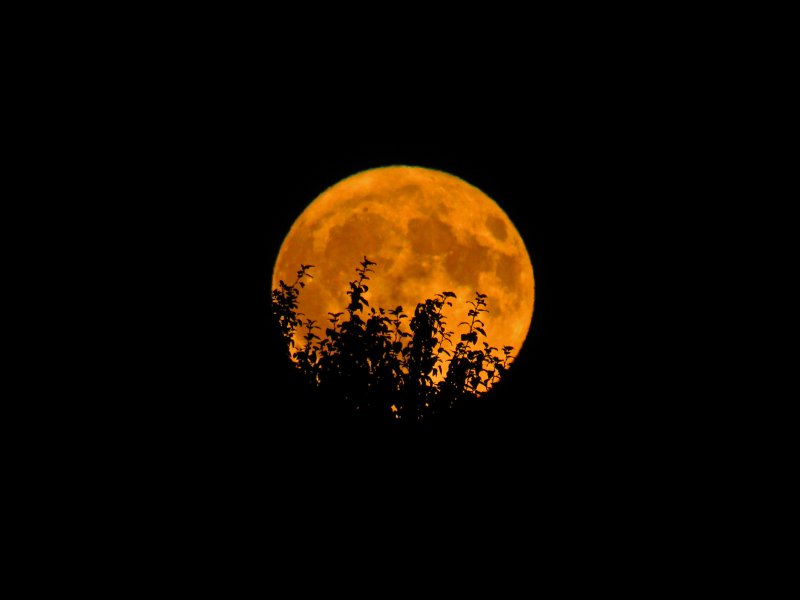 Темно оранжевая Луна