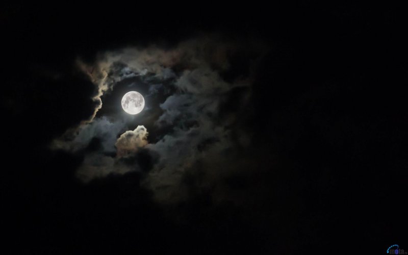 Ночная дорога с луной
