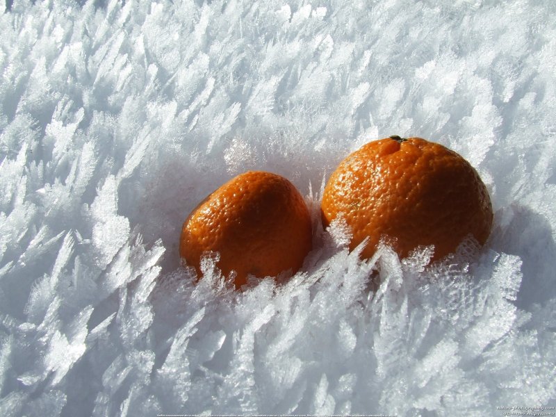 Замерзший апельсин