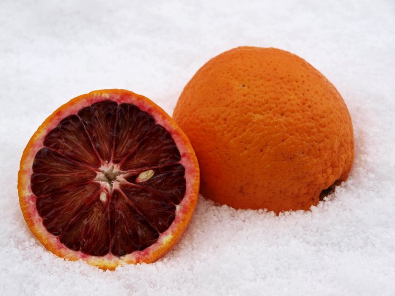 Snowy Orange