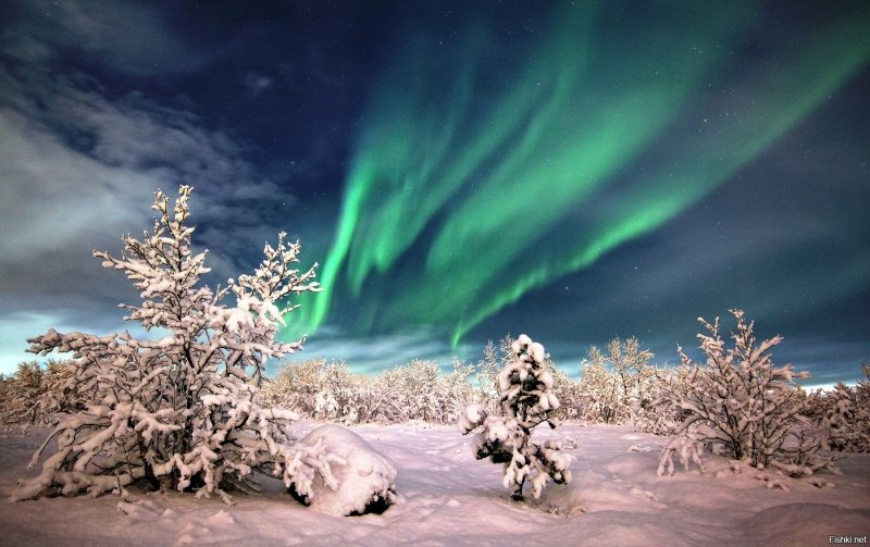 Northern Lights Fairbanks, Alaska