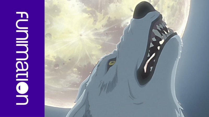 Волк из аниме Волчий дождь Тобоэ