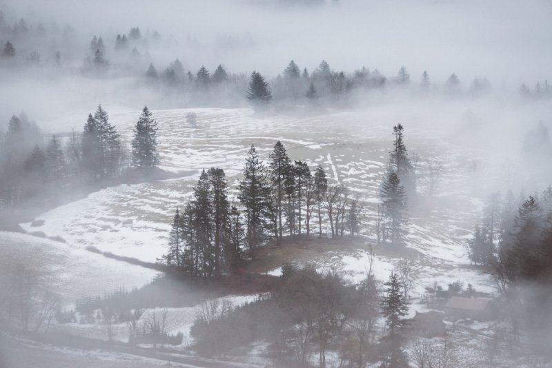 Густой зимний туман