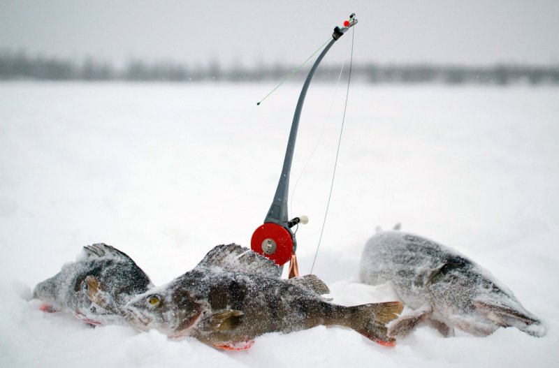 Зимняя подледная рыбалка