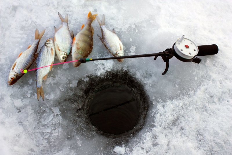 Рыбаки на реке зимой