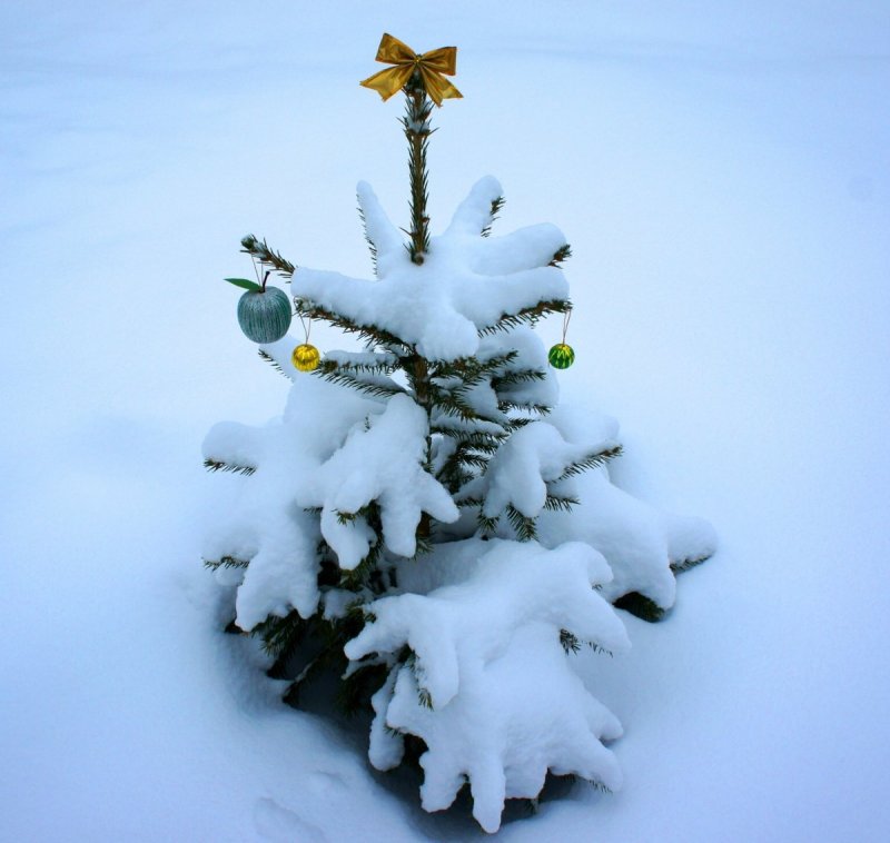 Снежная елка