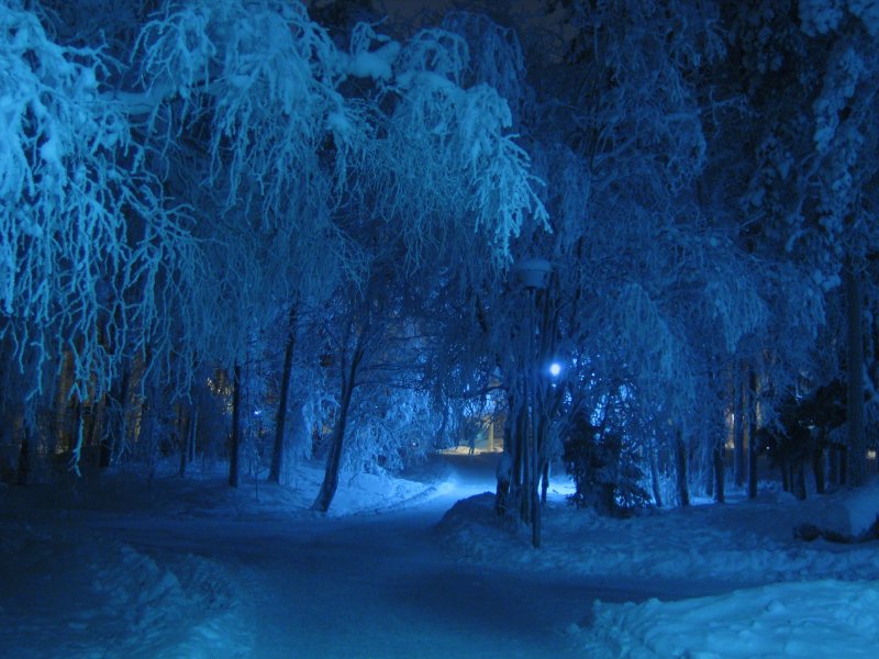 Ночь зима снег