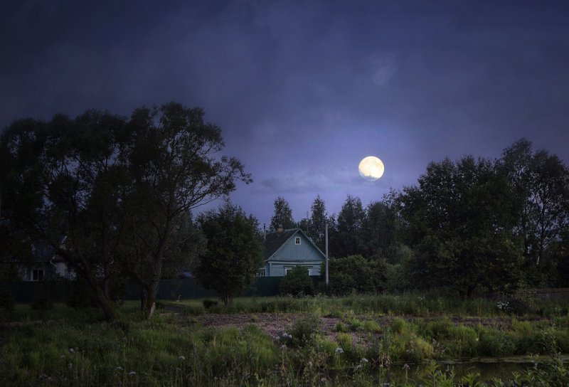 Лунная ночь в деревне