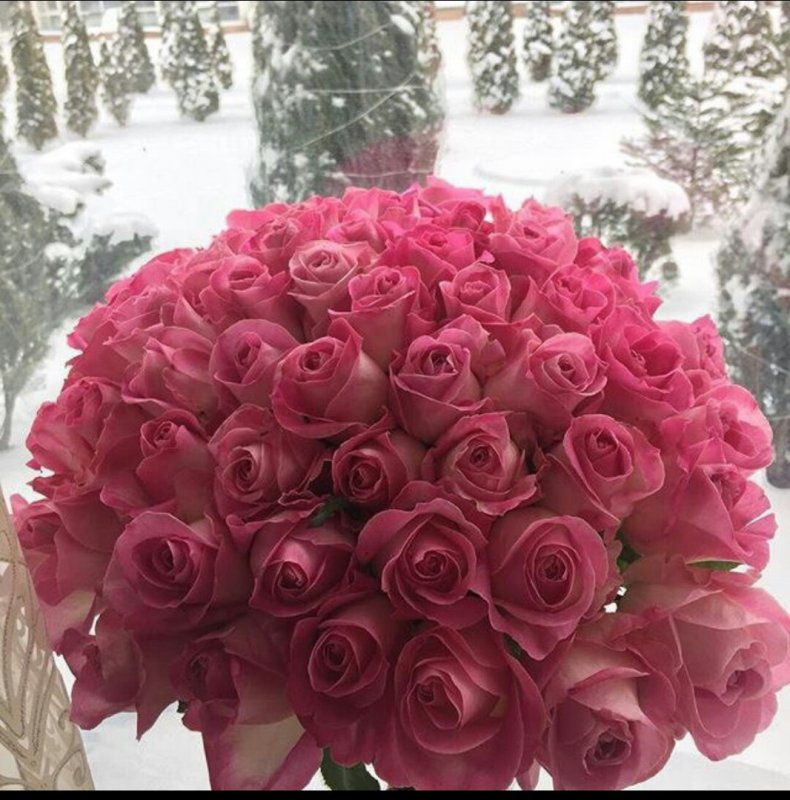 Букет роз на фоне снега