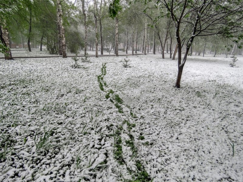 Снегопад Чебоксары апрель 2014