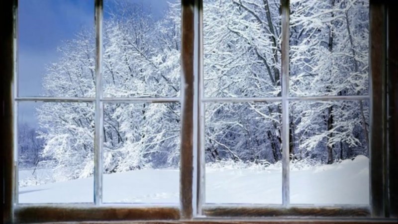 Снег на ветках за окном