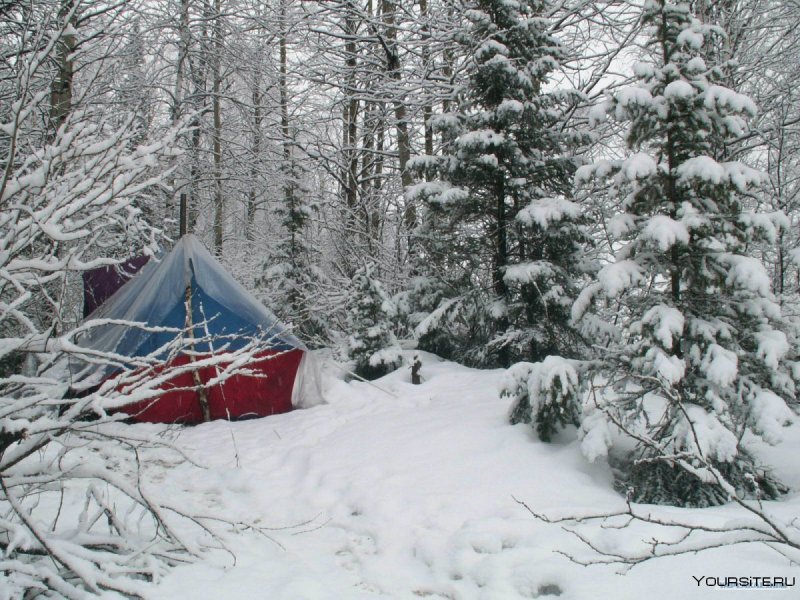 Палатка под снегом