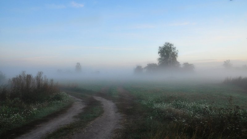 Туманное утро в деревне