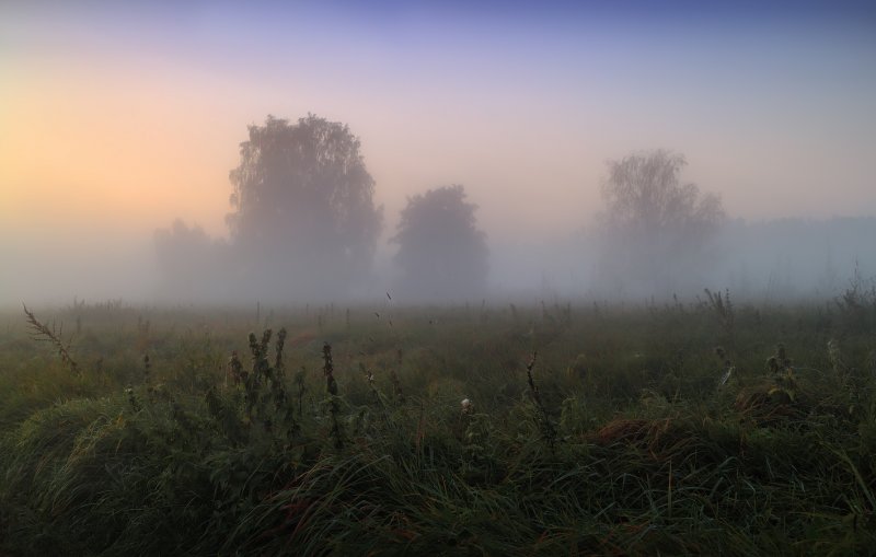 Туманное утро в поле