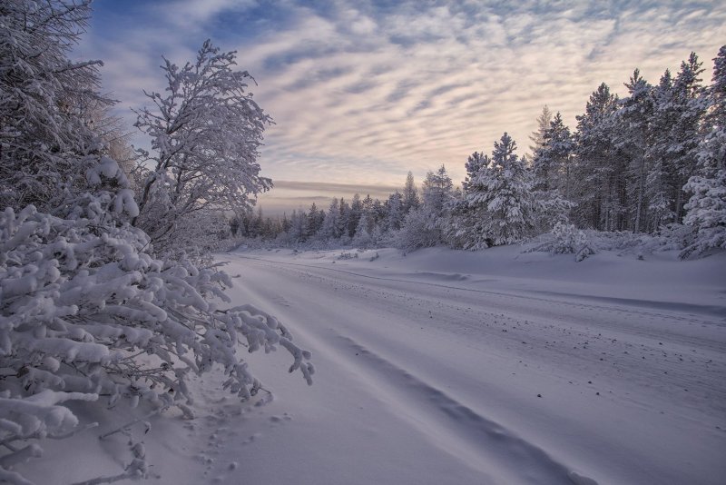 Зимний пейзаж Якутии