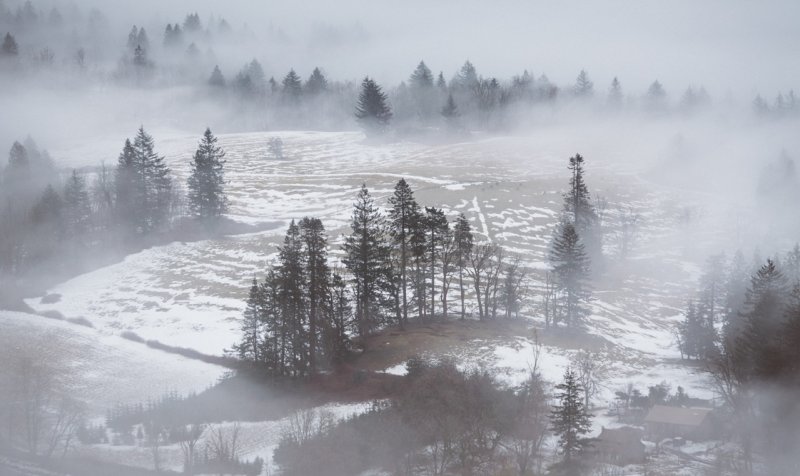Зимний пейзаж с туманом