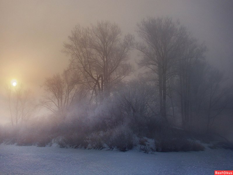 Зимний пейзаж с туманом