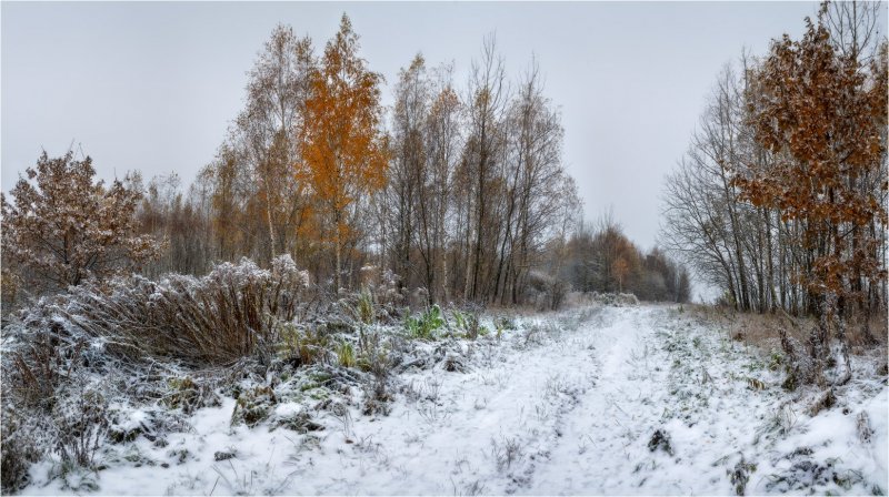 Юг России зимой