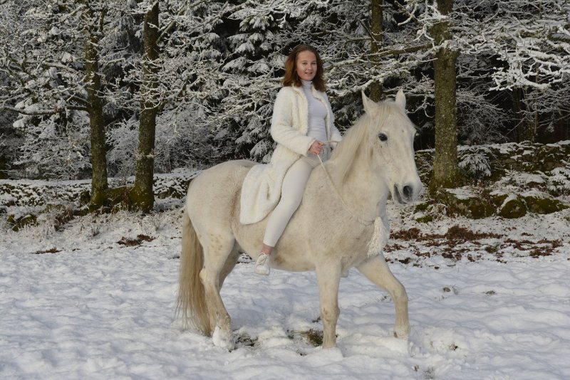 Всадник на белой лошади
