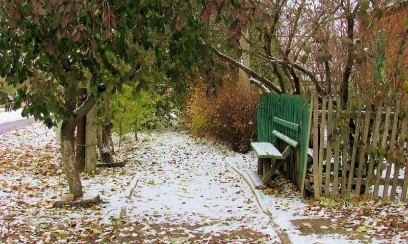 Деревня первый снег осень
