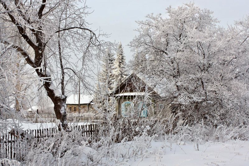 Зимняя пасмурная деревня