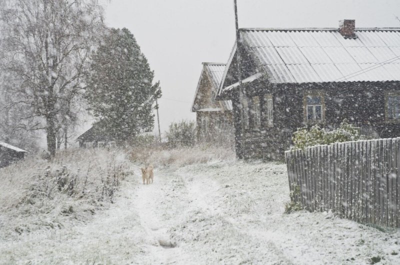 Первый снег в деревне