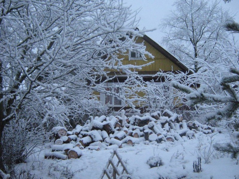 Деревенский сад зимой