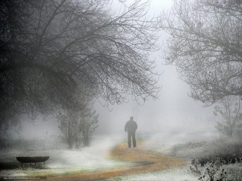 Одинокий человек в тумане