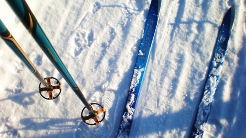 Лыжи в снегу