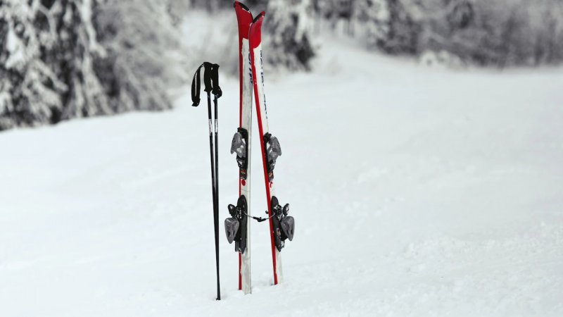 Лыжные палки в снегу