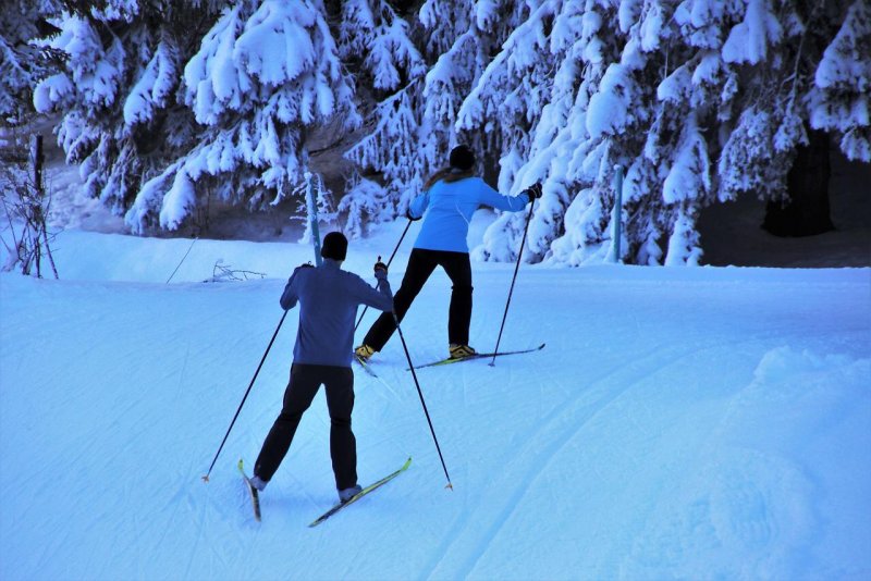 Лыжня для беговых лыж