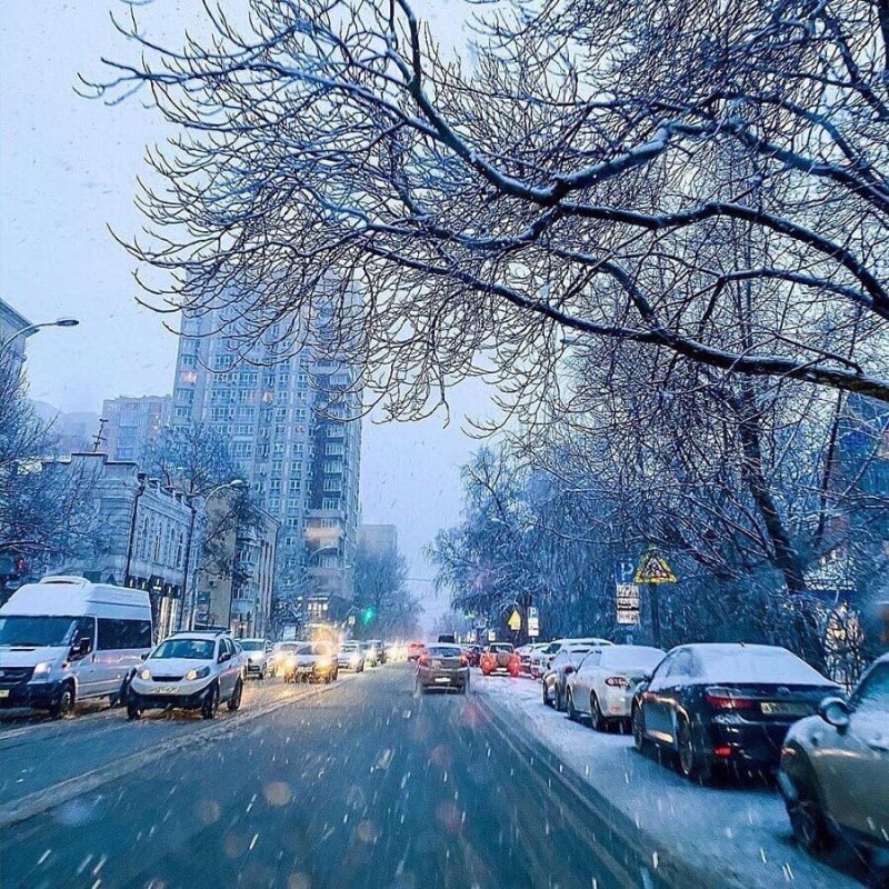 Снег в Ростове на Дону