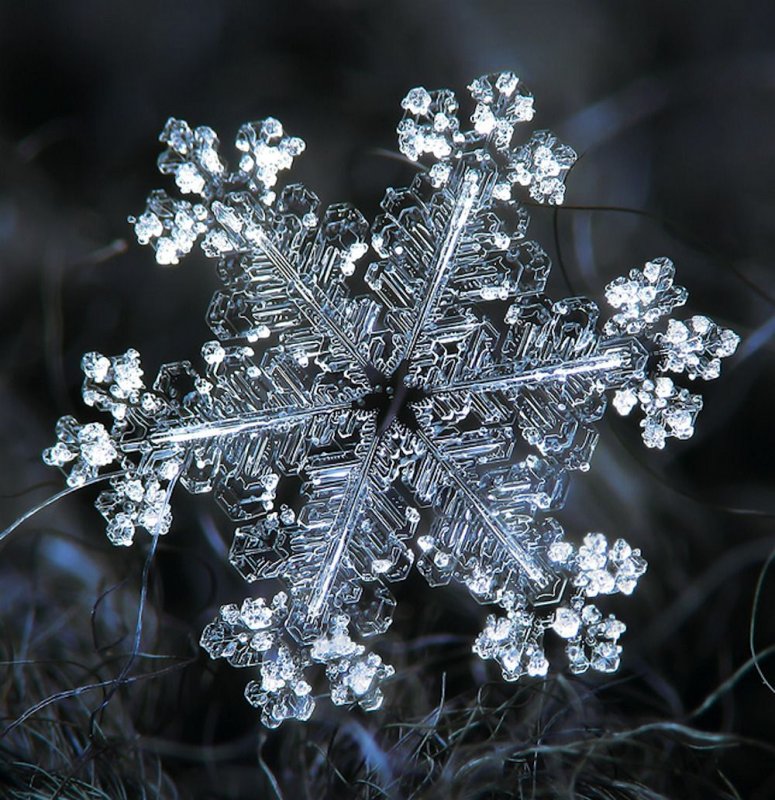 Кристаллы снежинок