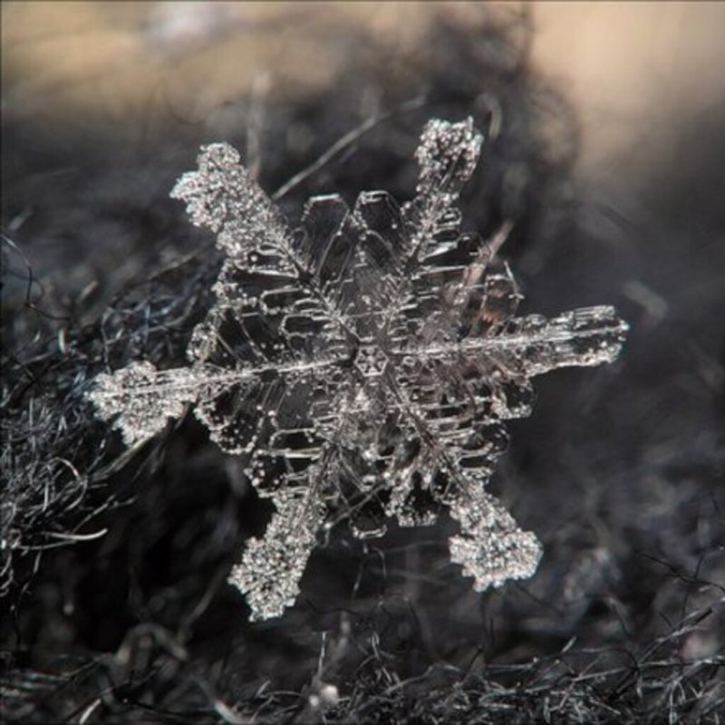 Снежинка кристаллическая