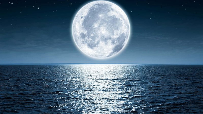 Лунная ночь на озере