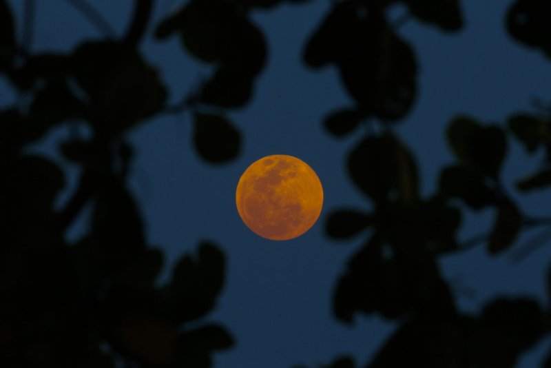 Затмение Луны