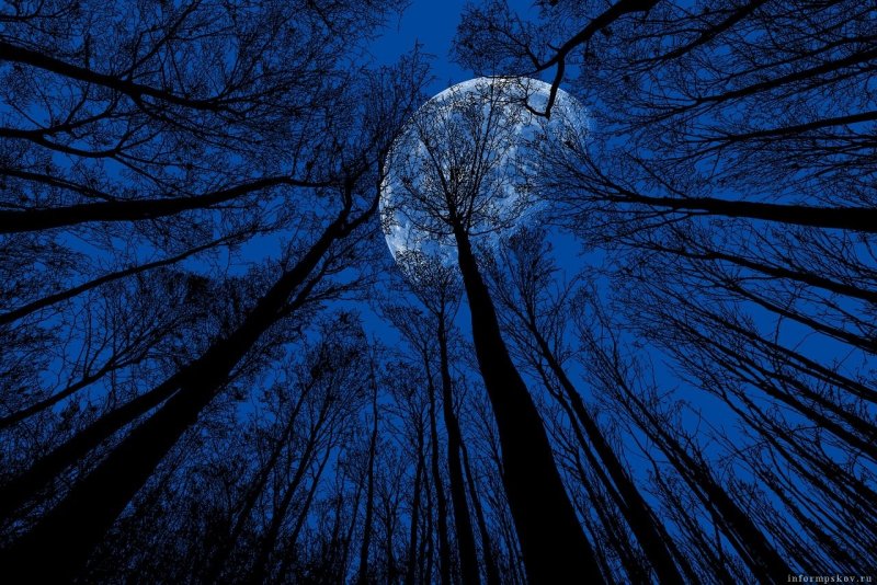 Голубая Луна явление природы